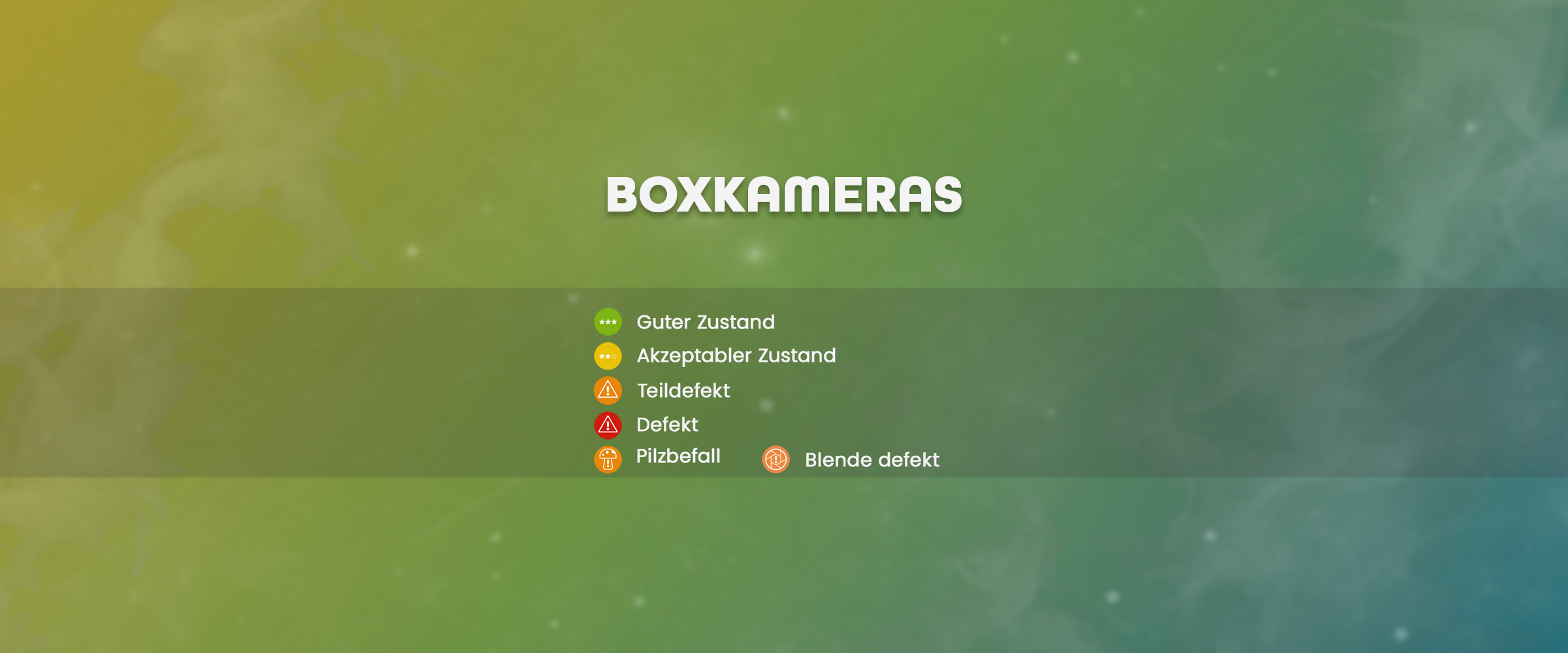 Boxkameras