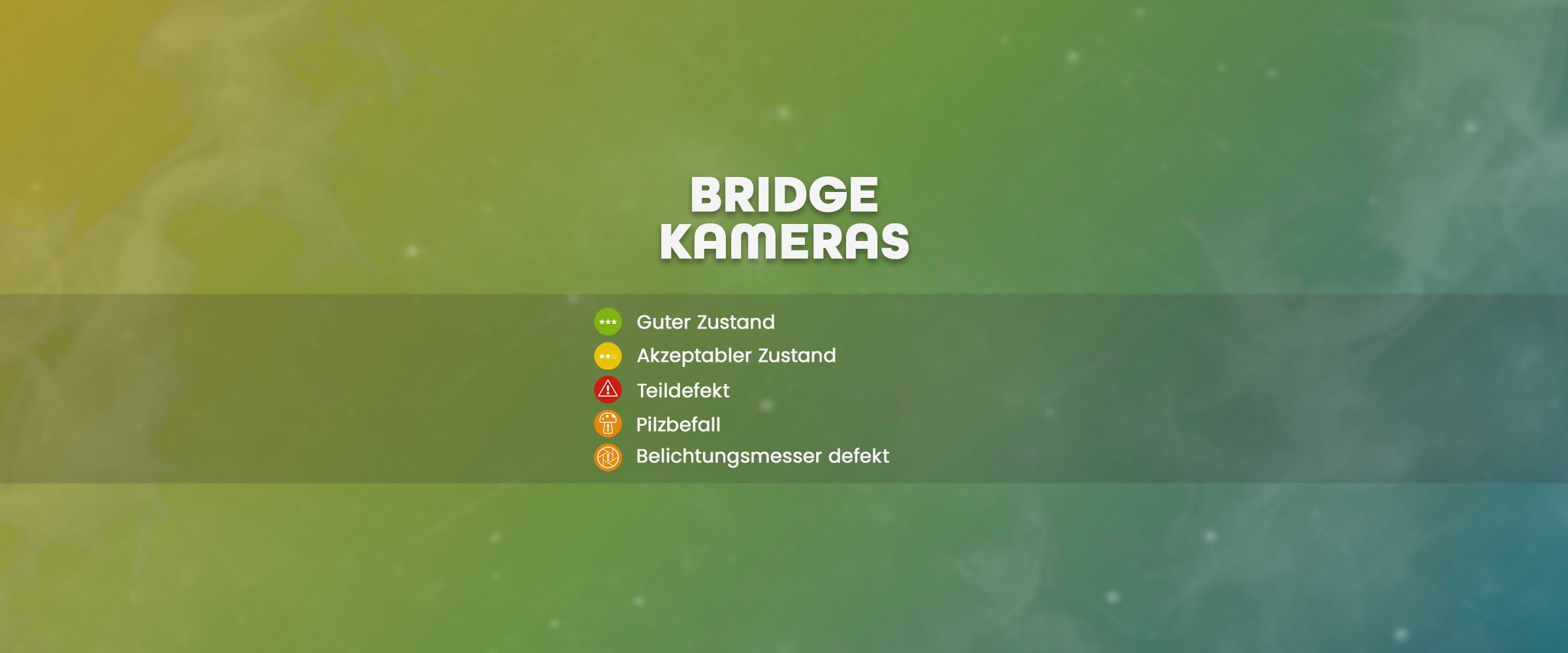 Digitale Bridgekameras