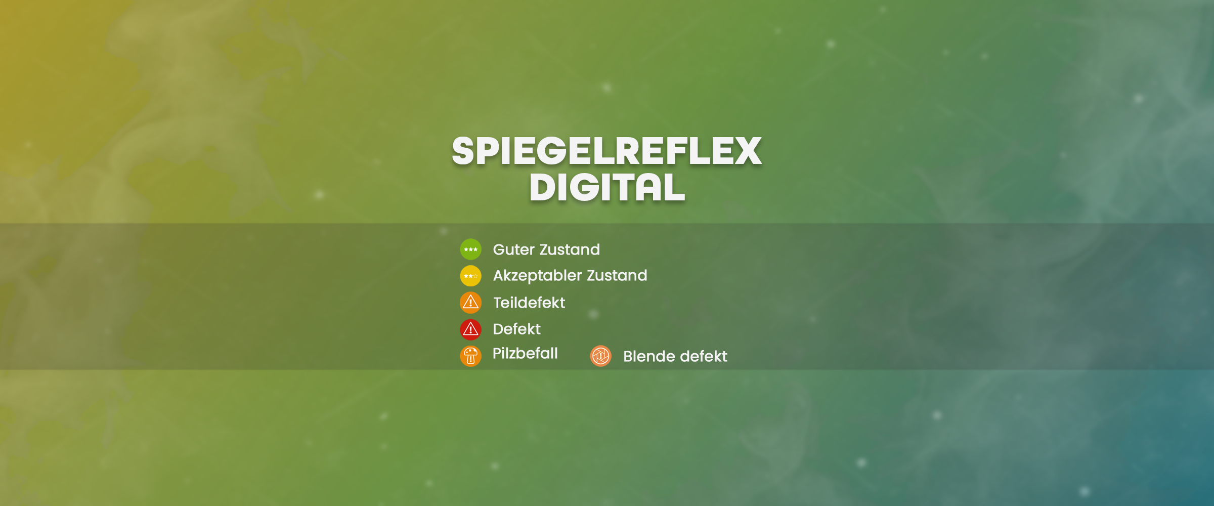 Digitale Spiegelreflex