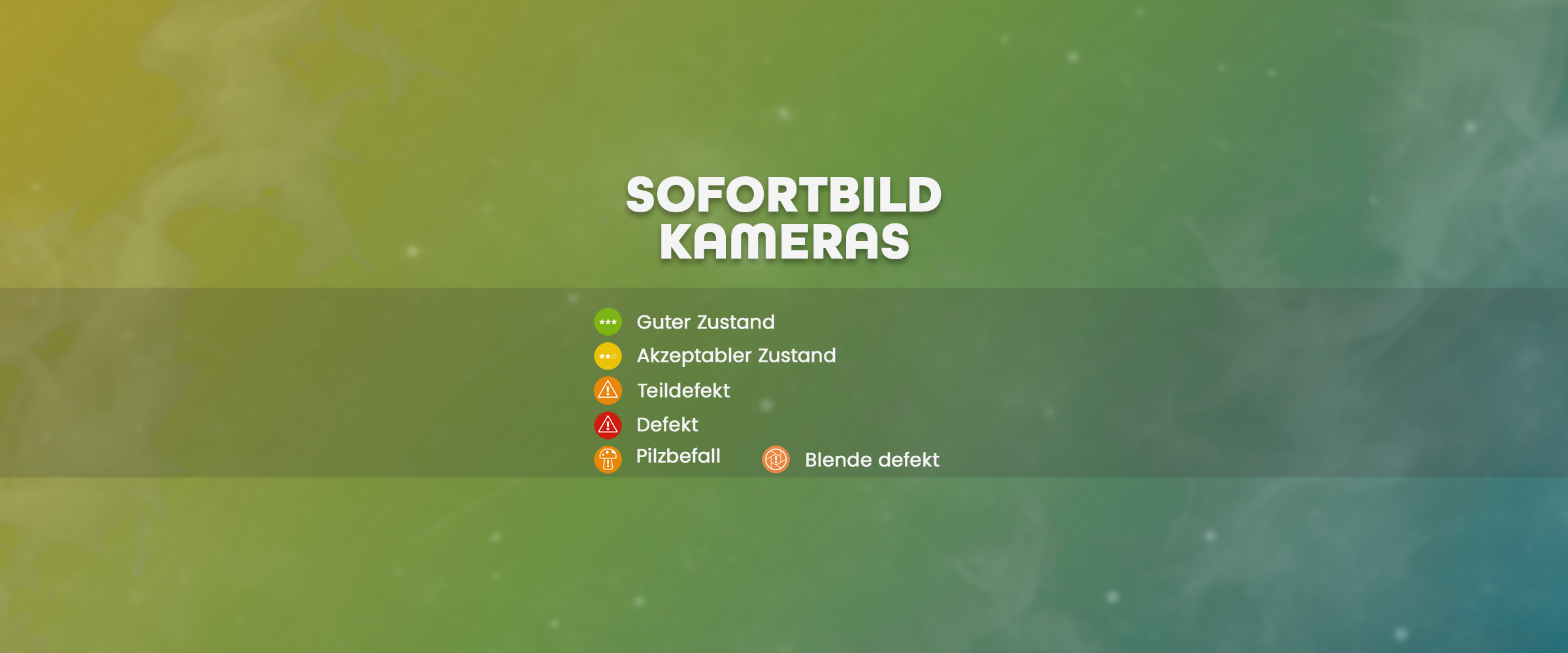 Sofortbildkameras