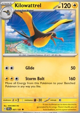 Kilowattrel⁣ - Surging Sparks⁣ (Uncommon)⁣ [067]